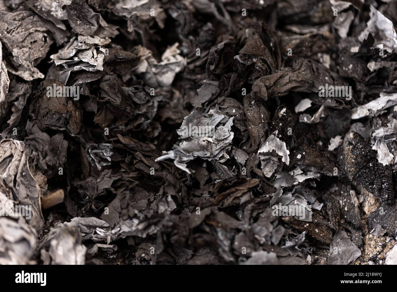 ash from freshly burned papers  Stock Photo