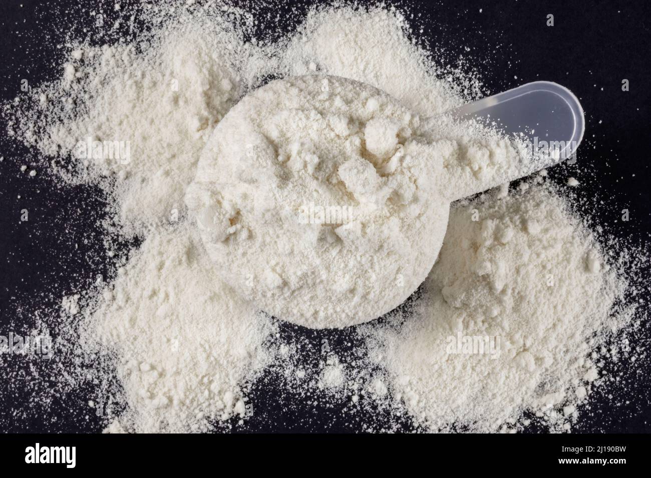 Whey protein powder scoop. Sports nutrition Stock Photo Alamy