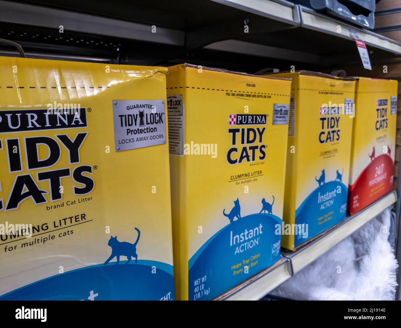 Woodinville, WA USA - circa February 2022: Angled view of Tidy Cats brand litter on shelves inside of a Petsmart store. Stock Photo