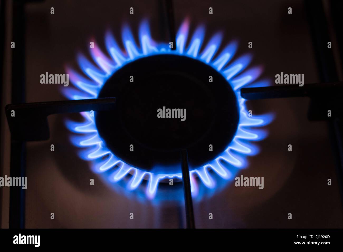 A blue flame on a natural gas cooker in England. Theme energy price