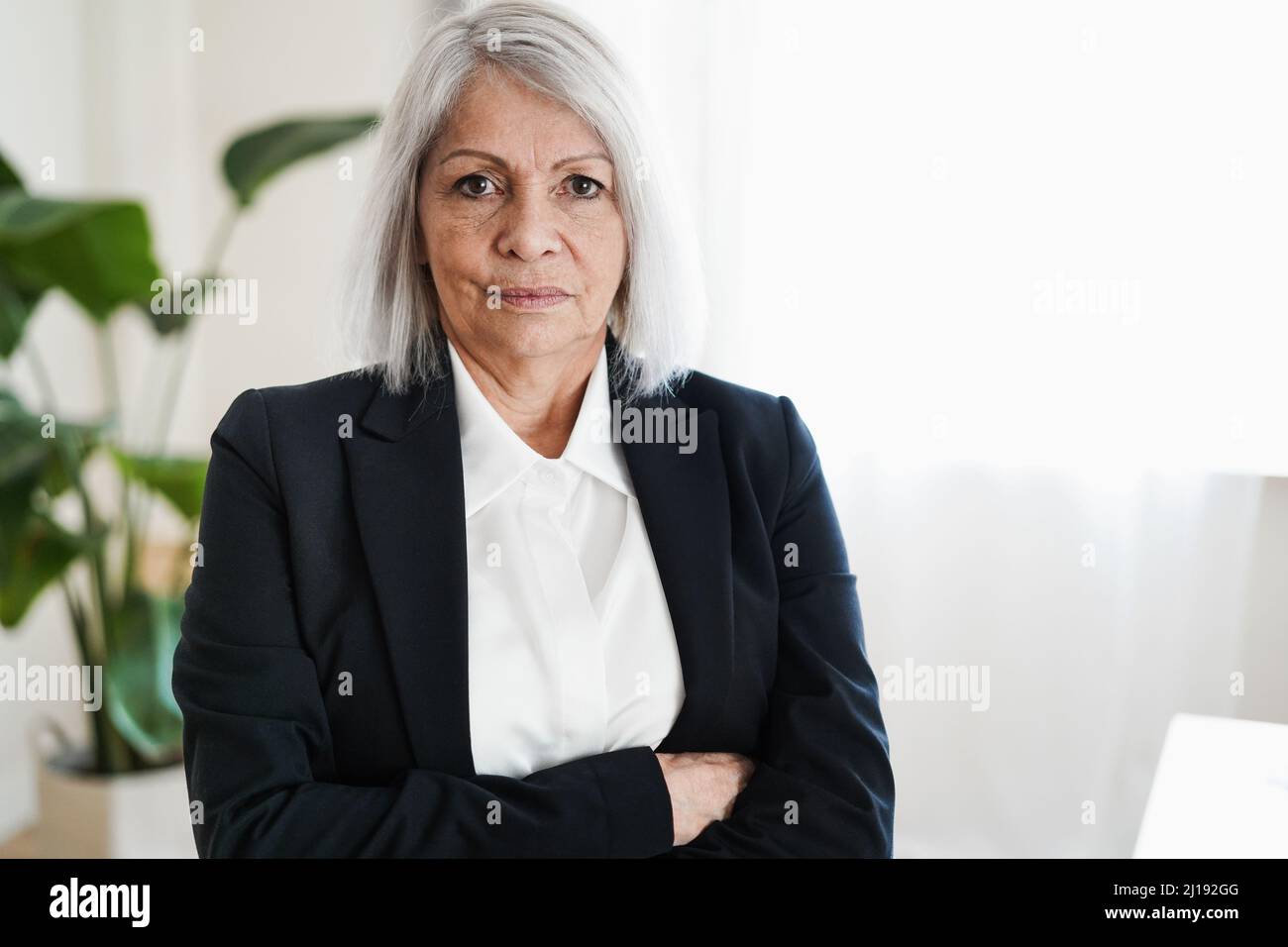 Senior woman working inside modern office - Focus on face Stock Photo
