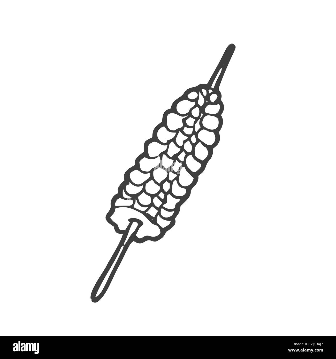 Doodle grilled sticks of corn. Mexican food. Sketchy hand-drawn vector illustration. Street food. Stock Vector
