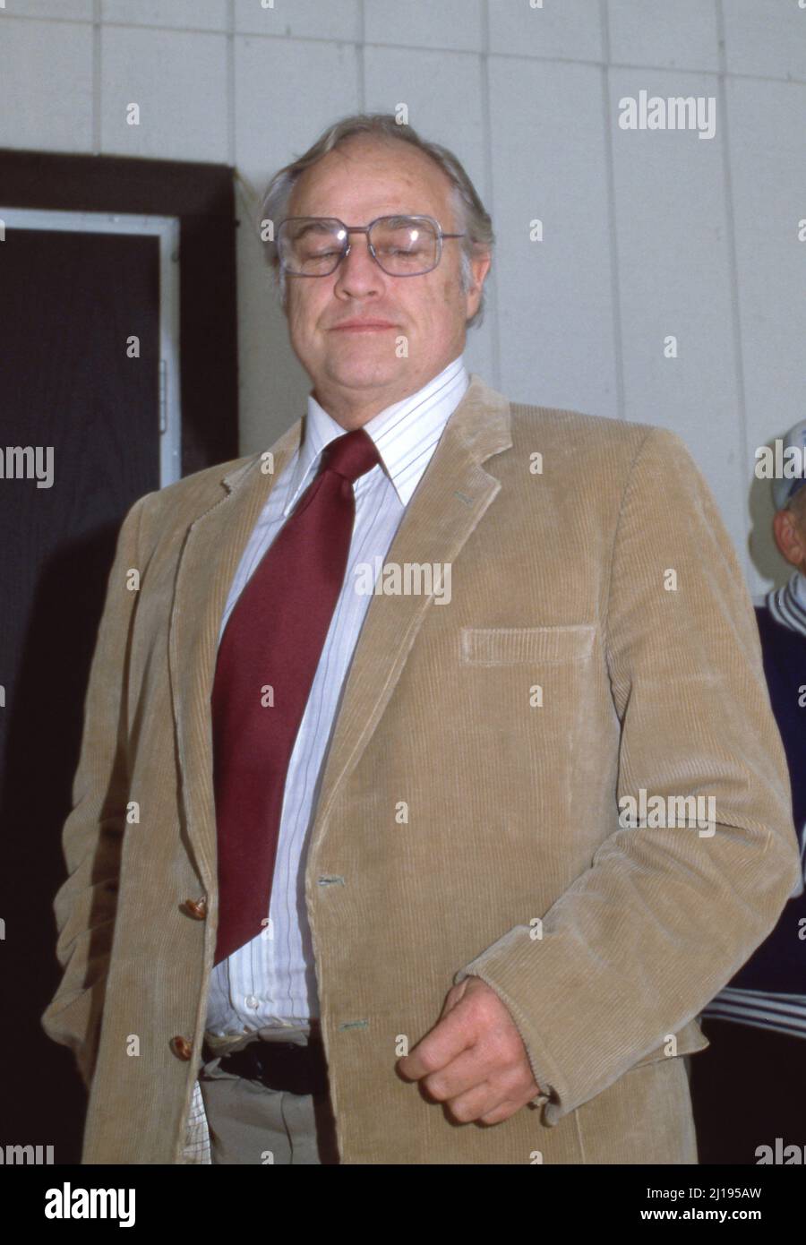 Marlon Brando 1982 Credit: Ralph Dominguez/MediaPunch Stock Photo - Alamy