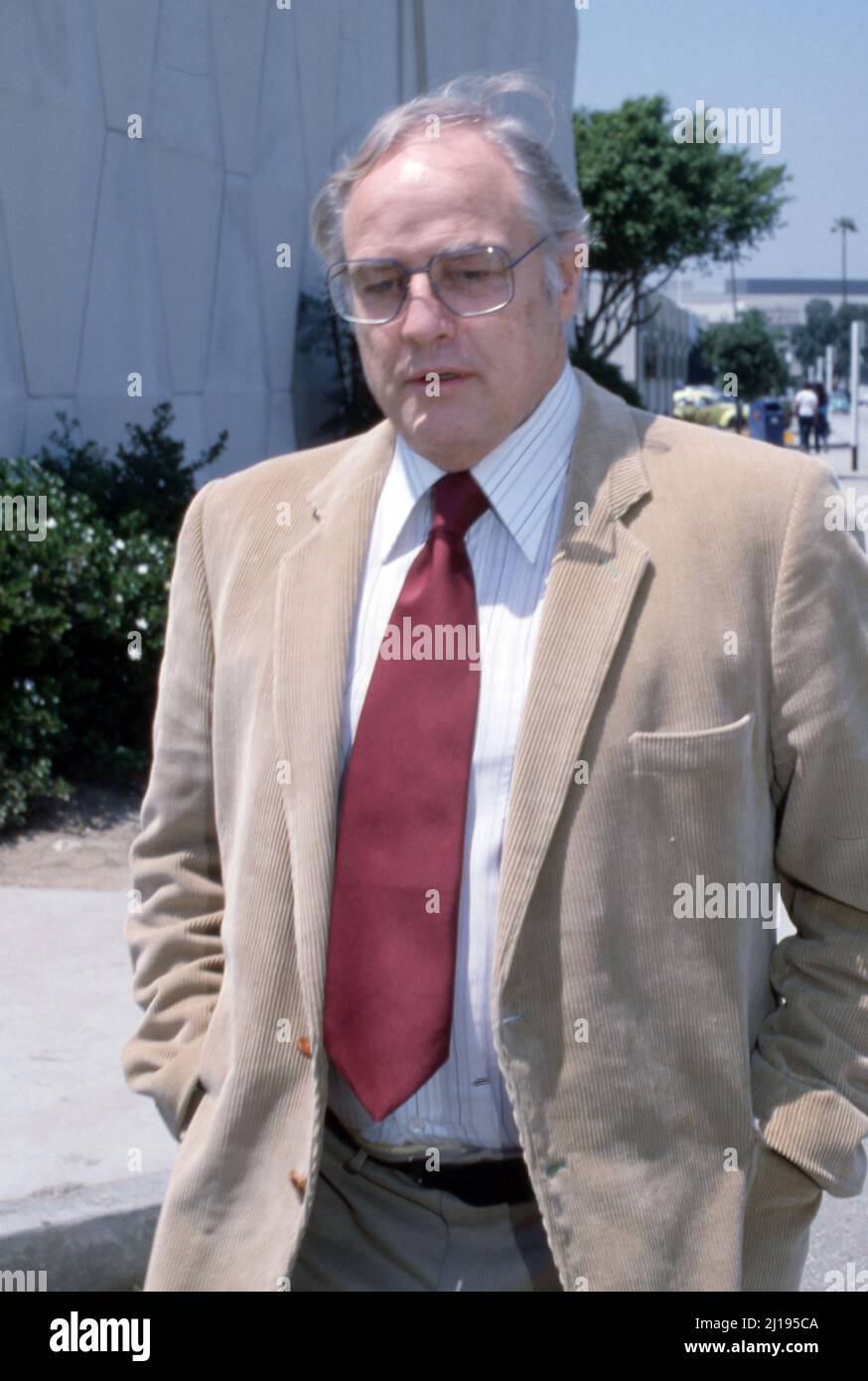Marlon Brando 1982 Credit: Ralph Dominguez/MediaPunch Stock Photo - Alamy