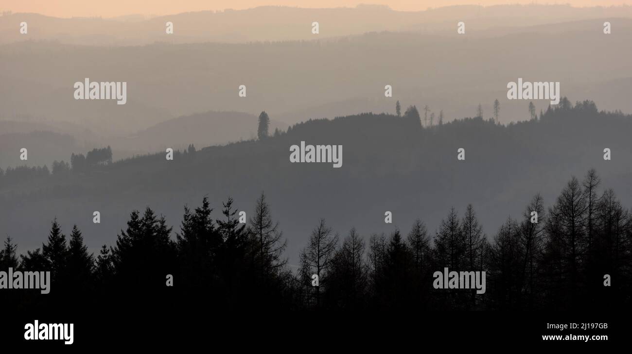 a forest evening hills panorama Stock Photo