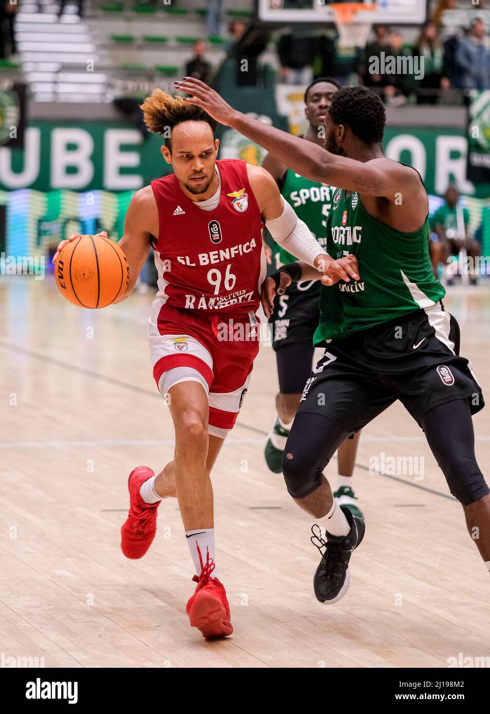 BASQUETEBOL  SL BENFICA x SPORTING CP - EM DIRETO 