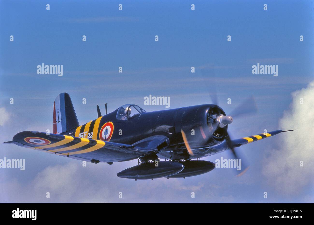 WWII Vought Corsairs fighter airplanes, used by the Marines and the Navy of the USA and many other allied countries. Stock Photo