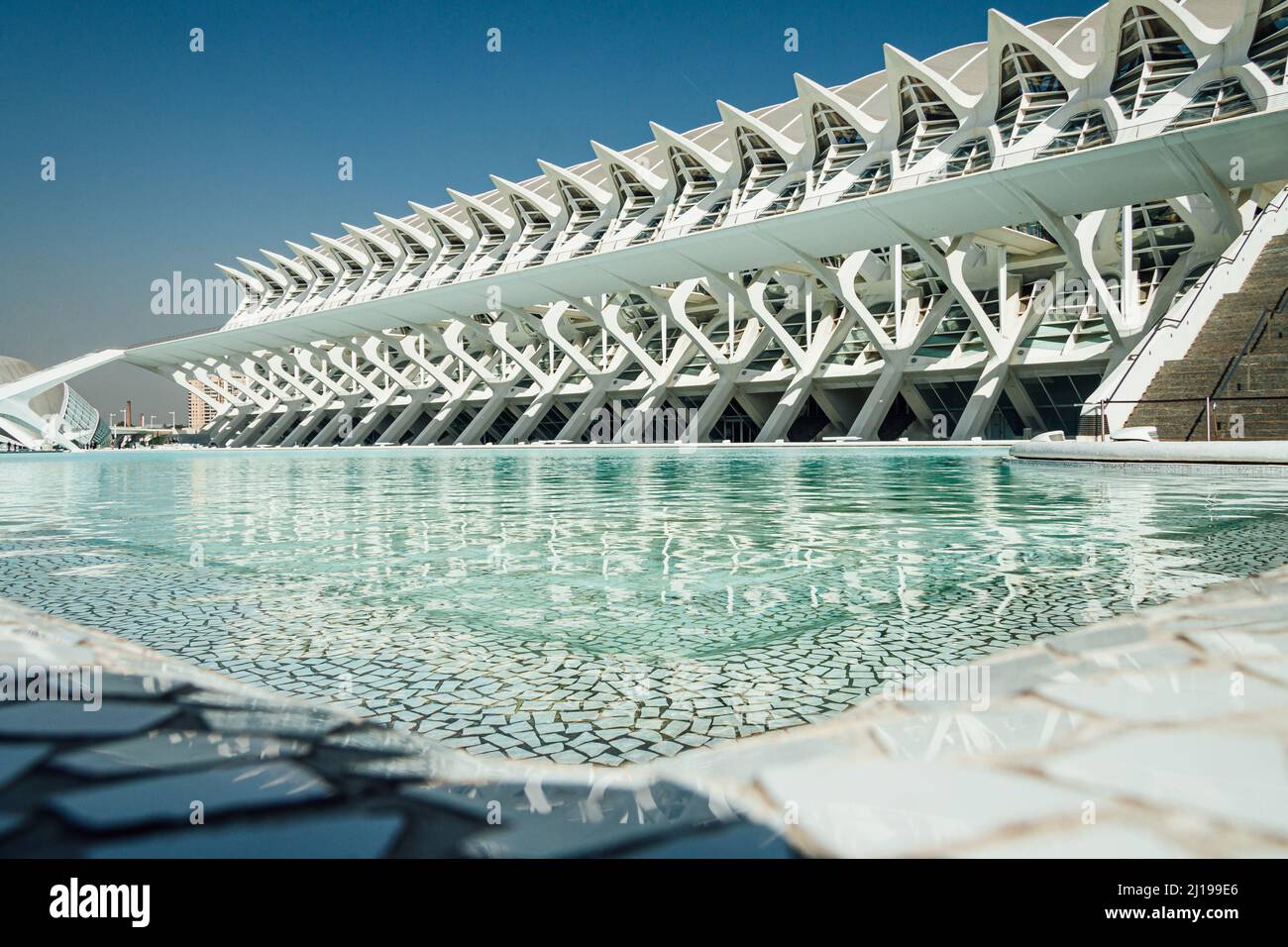 Modern architecture in the city of arts and sciences - Oceanografic Valencia Spain.  Stock Photo