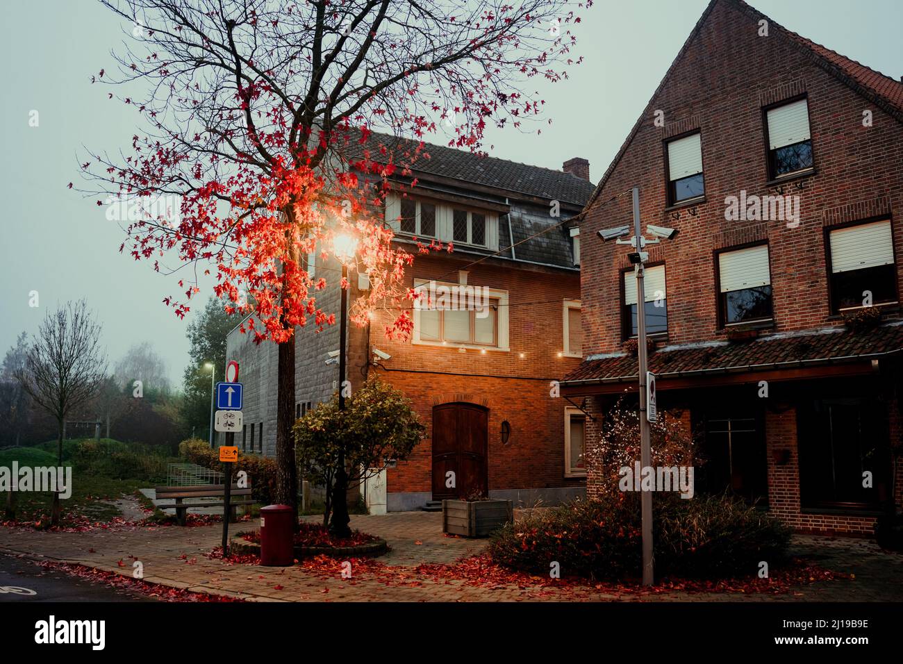 A scenic view of autumn tree with illuminated bulb of lamp post in ...