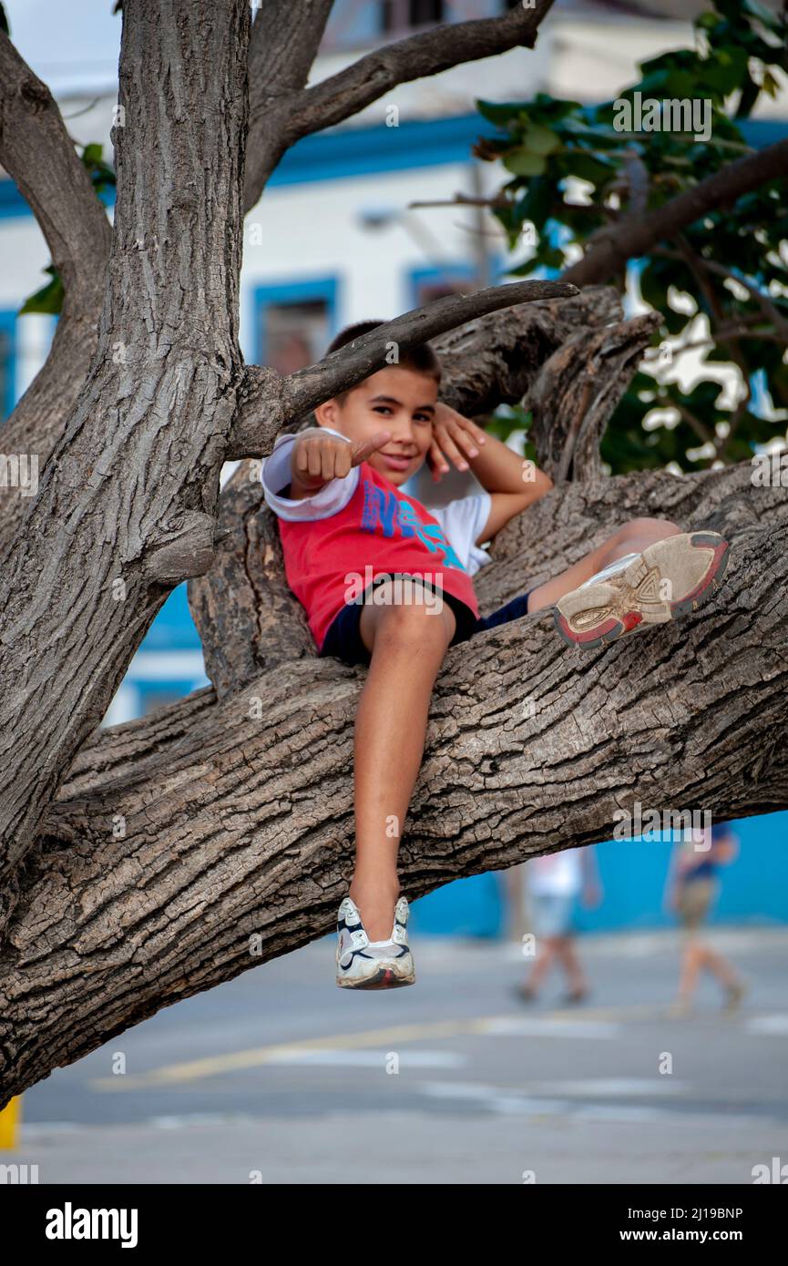 Cuban young boy gives the thumbs up sign while sitting on a tree in a park in Havana, Cuba. Stock Photo