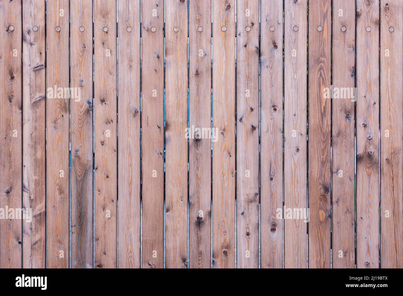 Timber Front View Close up image of wooden timber background Stock Photo - Alamy