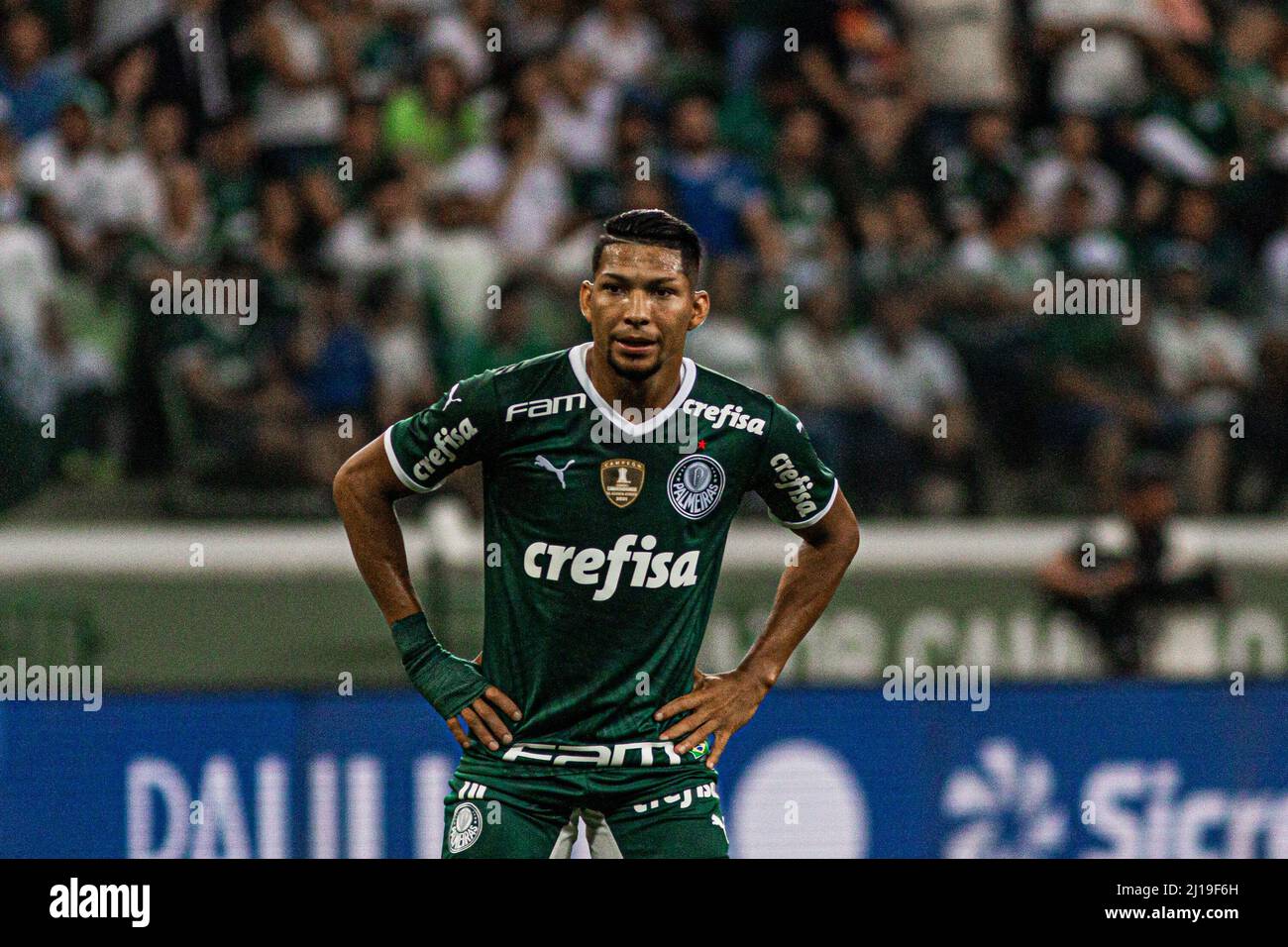 FootballShirtCulture.com on X: Palmeiras, the São Paulo-based