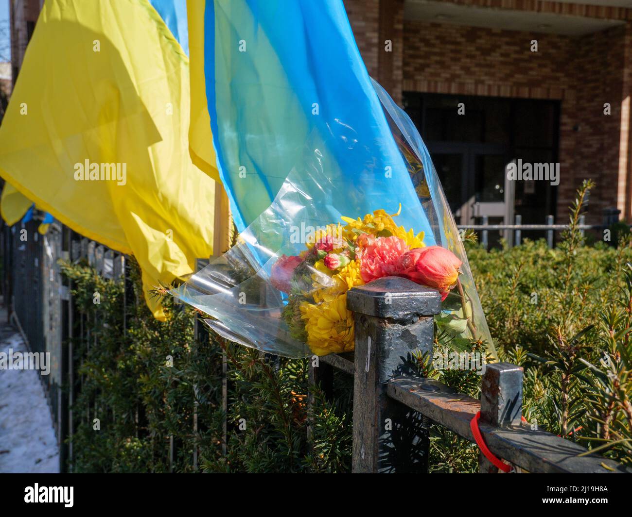 Ukrainian flag & flowers, Ukrainian Village neighborhood, Chicago, Illinois. Stock Photo