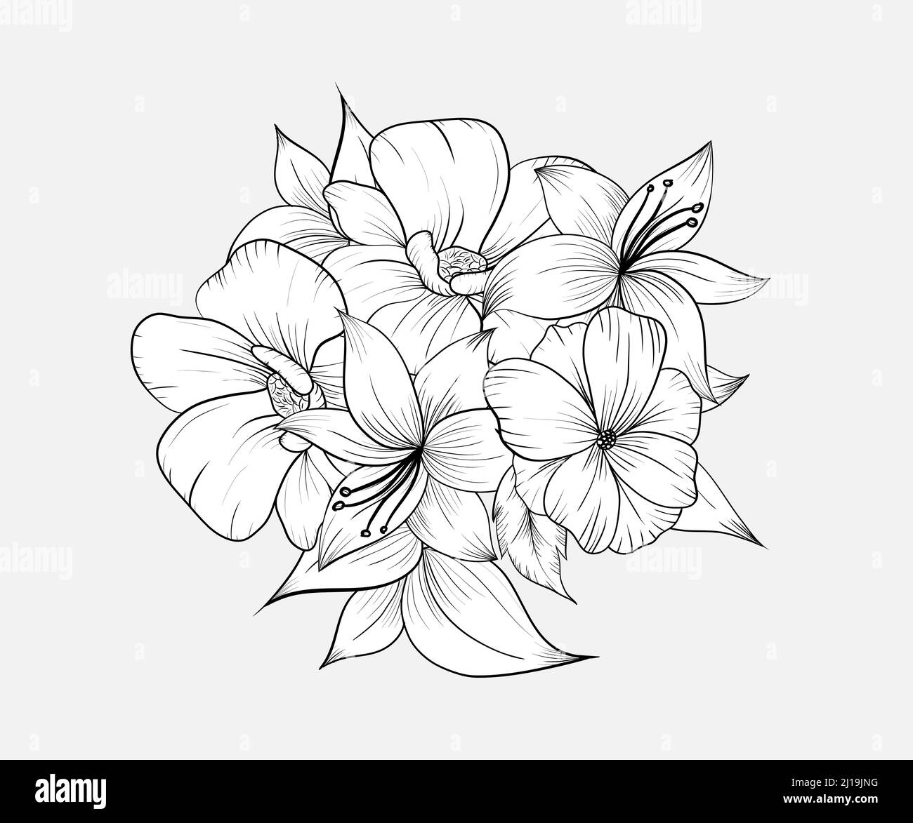 Sketch Floral Botany Collection. Magnolia flower drawings. Black and