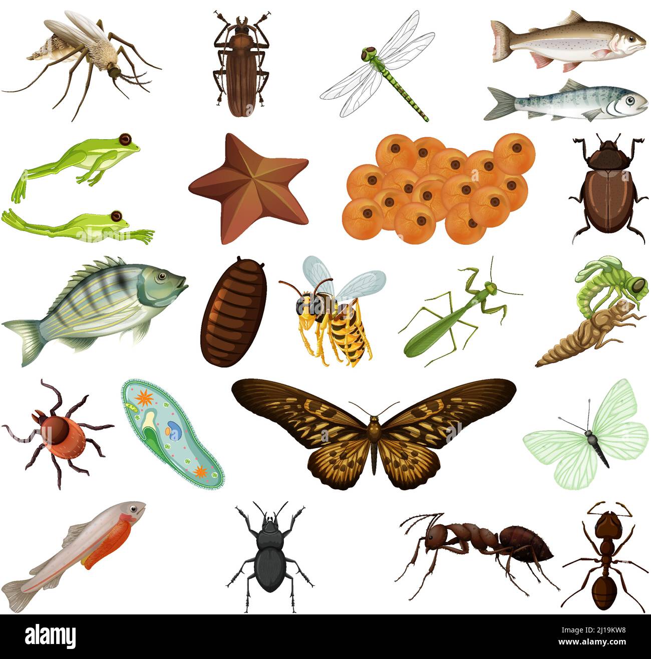 Different kinds of insects and animals on white background illustration ...