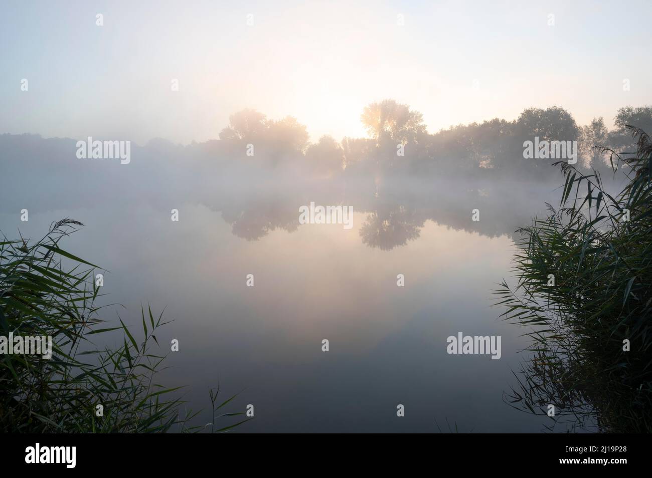 Herbslebener teiche nature reserve hires stock photography and images