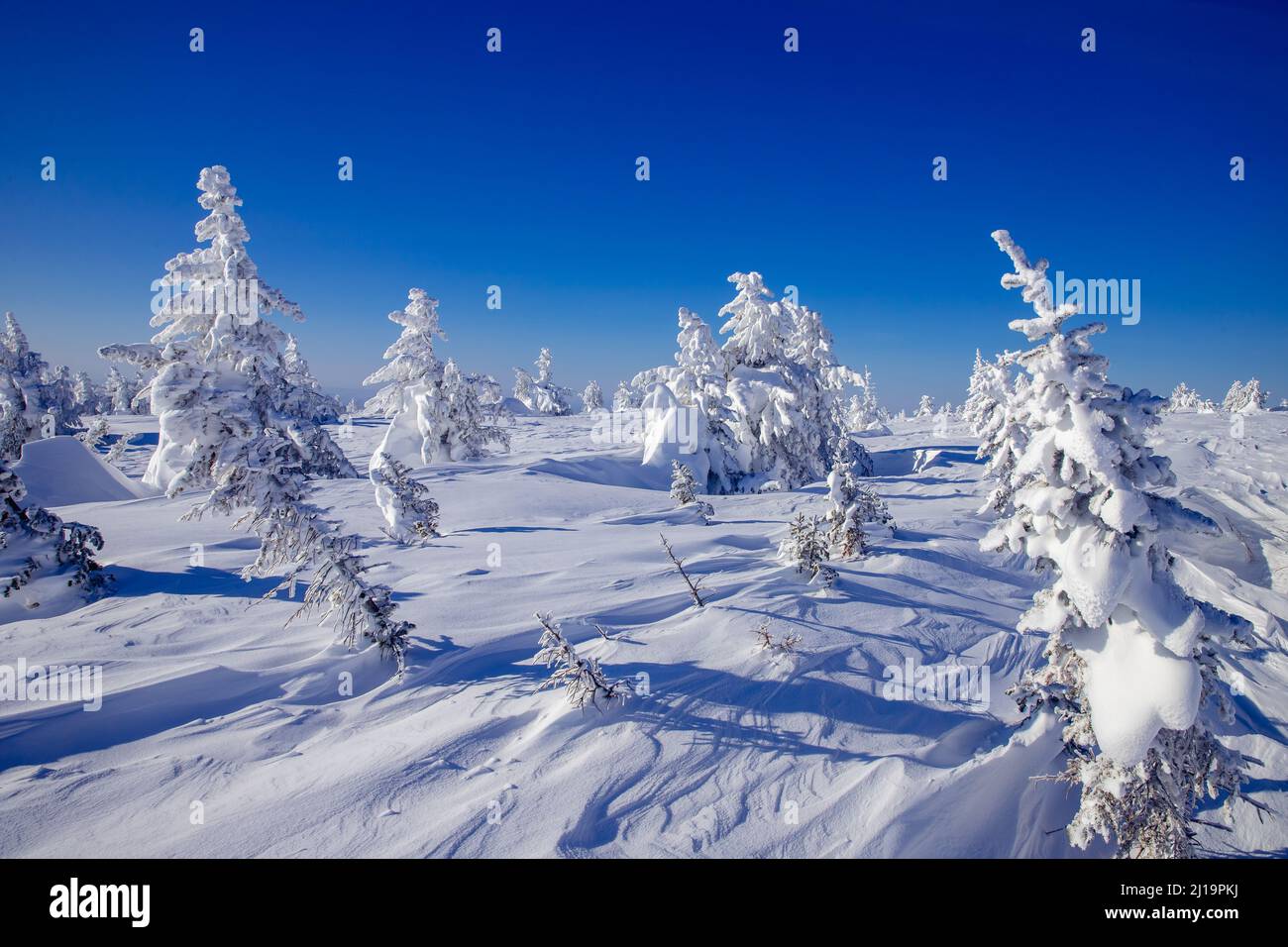 Drone flight above frozen field hi-res stock photography and images - Alamy