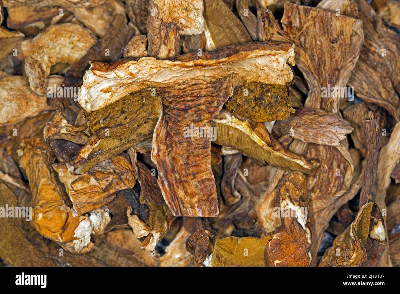 Dried king boletes (Boletus edulis Stock Photo Alamy