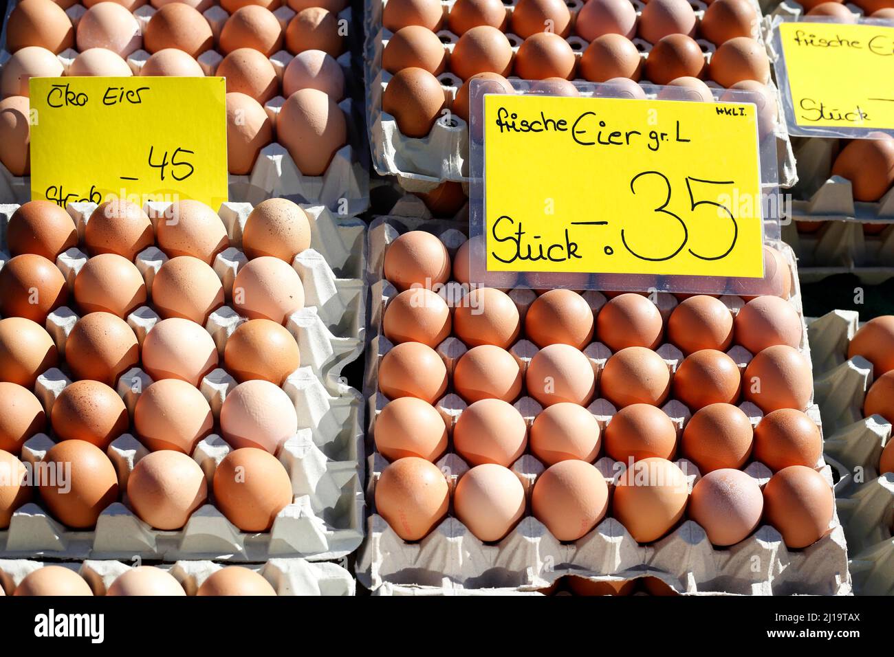 Fresh brown eggs in egg cartons with price tag at a market stall
