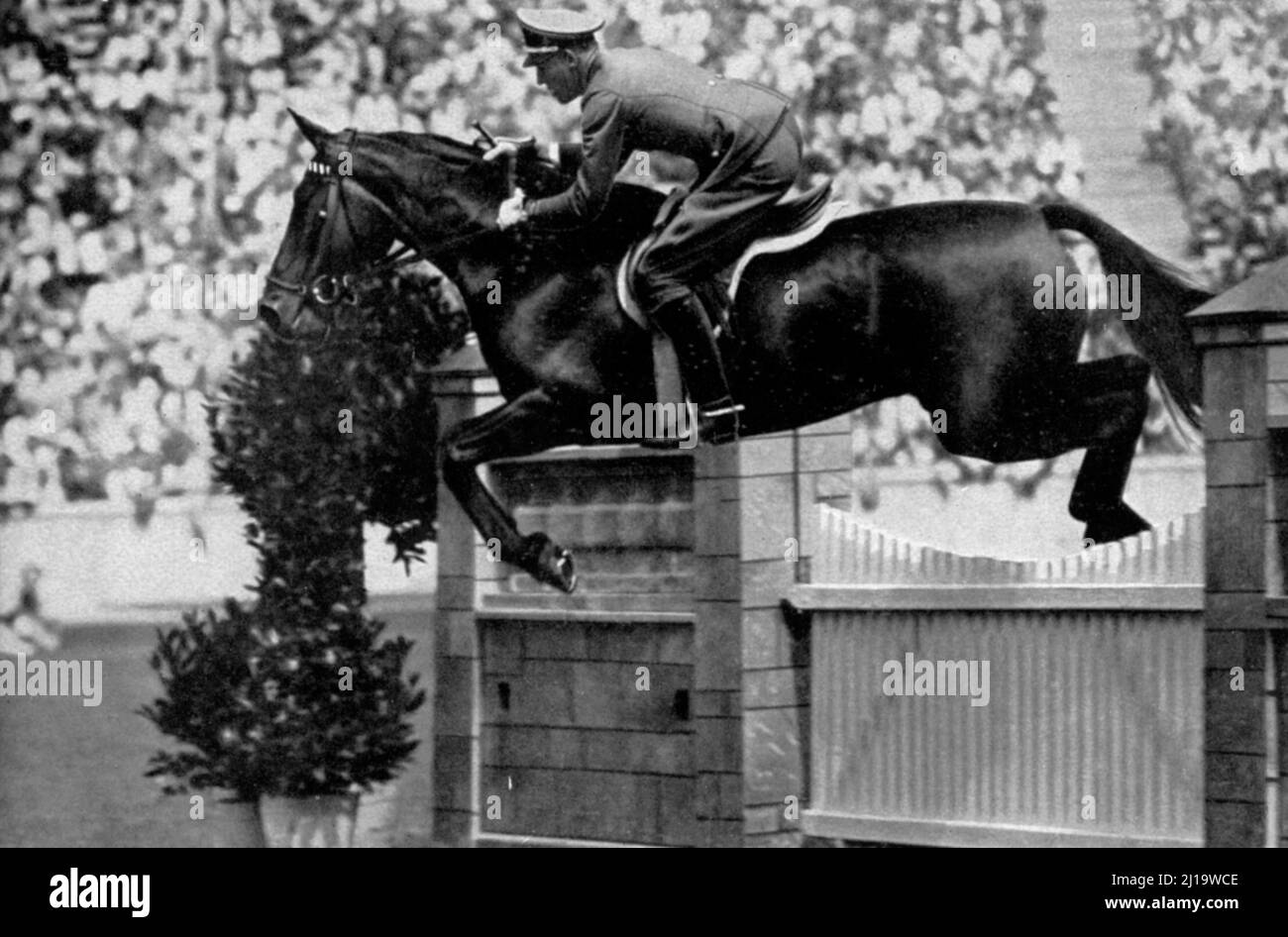 Riding, Captain Stubbendorf won the gold medal in the eventing competition on Nurmi Stock Photo