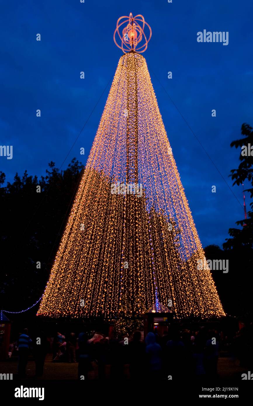 The Christmas Tree, Victoria Park, Auckland, New Zealand Stock