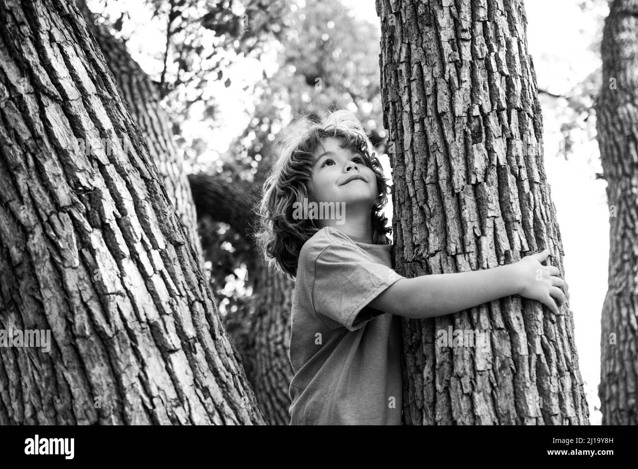 Young boy hugging a tree branch. Little boy kid on a tree branch. Child