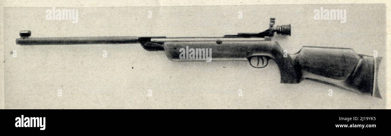Carabine à air comprimé Banque de photographies et d'images à haute  résolution - Alamy