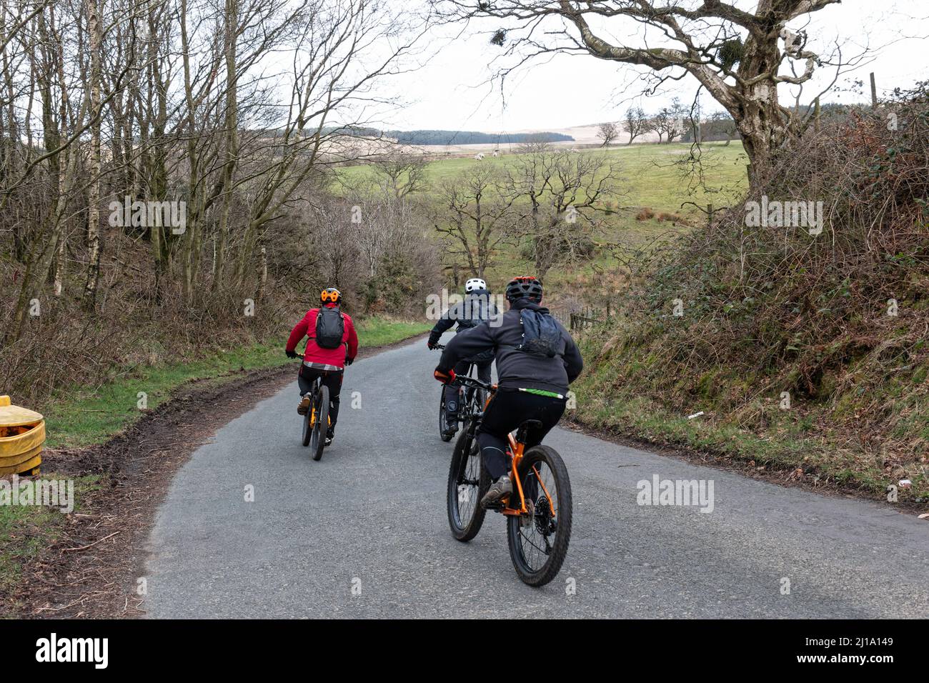 Road Riding A small group of cyclists riding along a country road on winter in ...