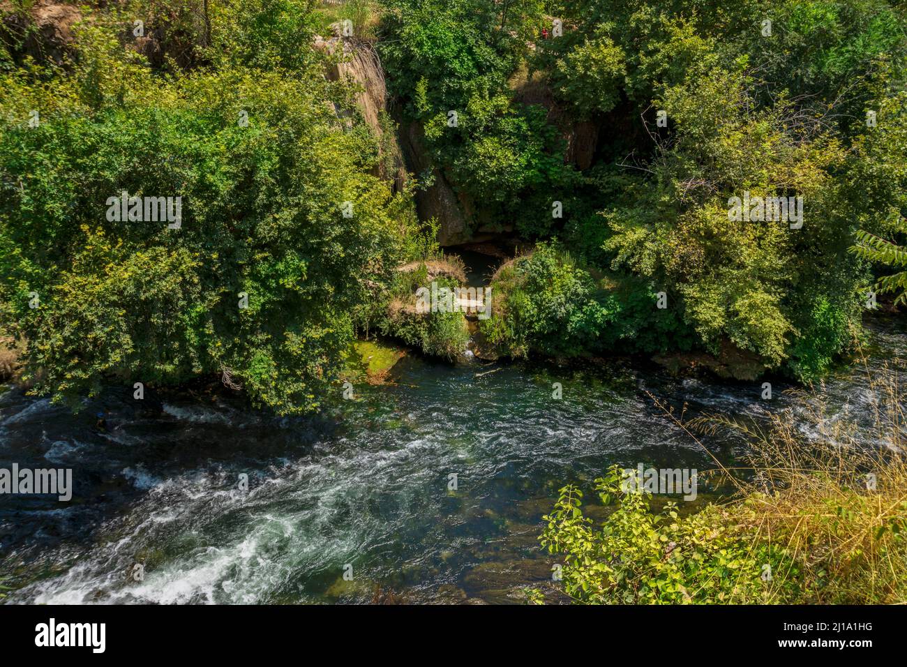 Falling water through tree hi-res stock photography and images - Alamy