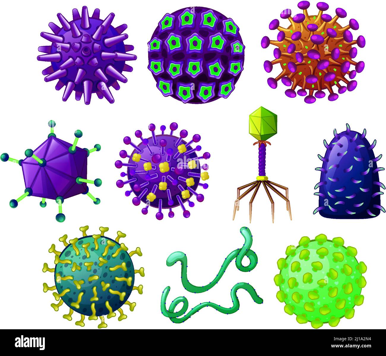 Different shapes of viruses illustration Stock Vector Image & Art Alamy