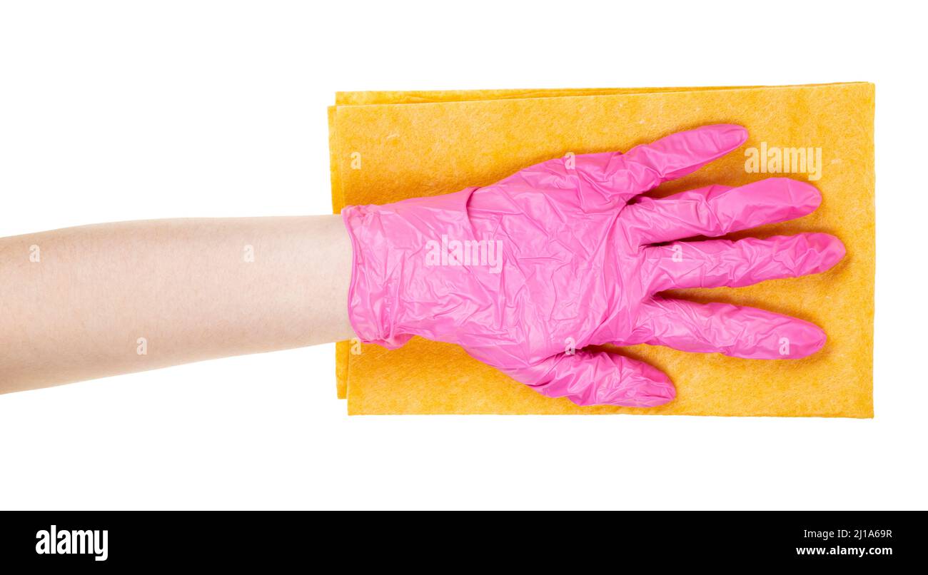 hand in pink vinyl glove holds flat yellow rag isolated on white background Stock Photo