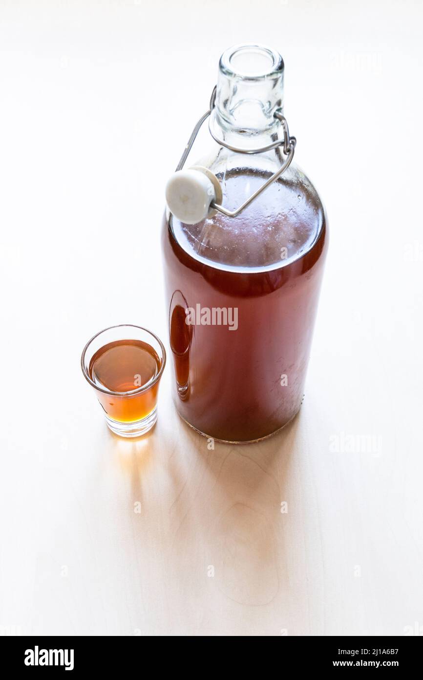 shot and open glass bottle of homemade strong alcoholic tincture on pale brown table Stock Photo