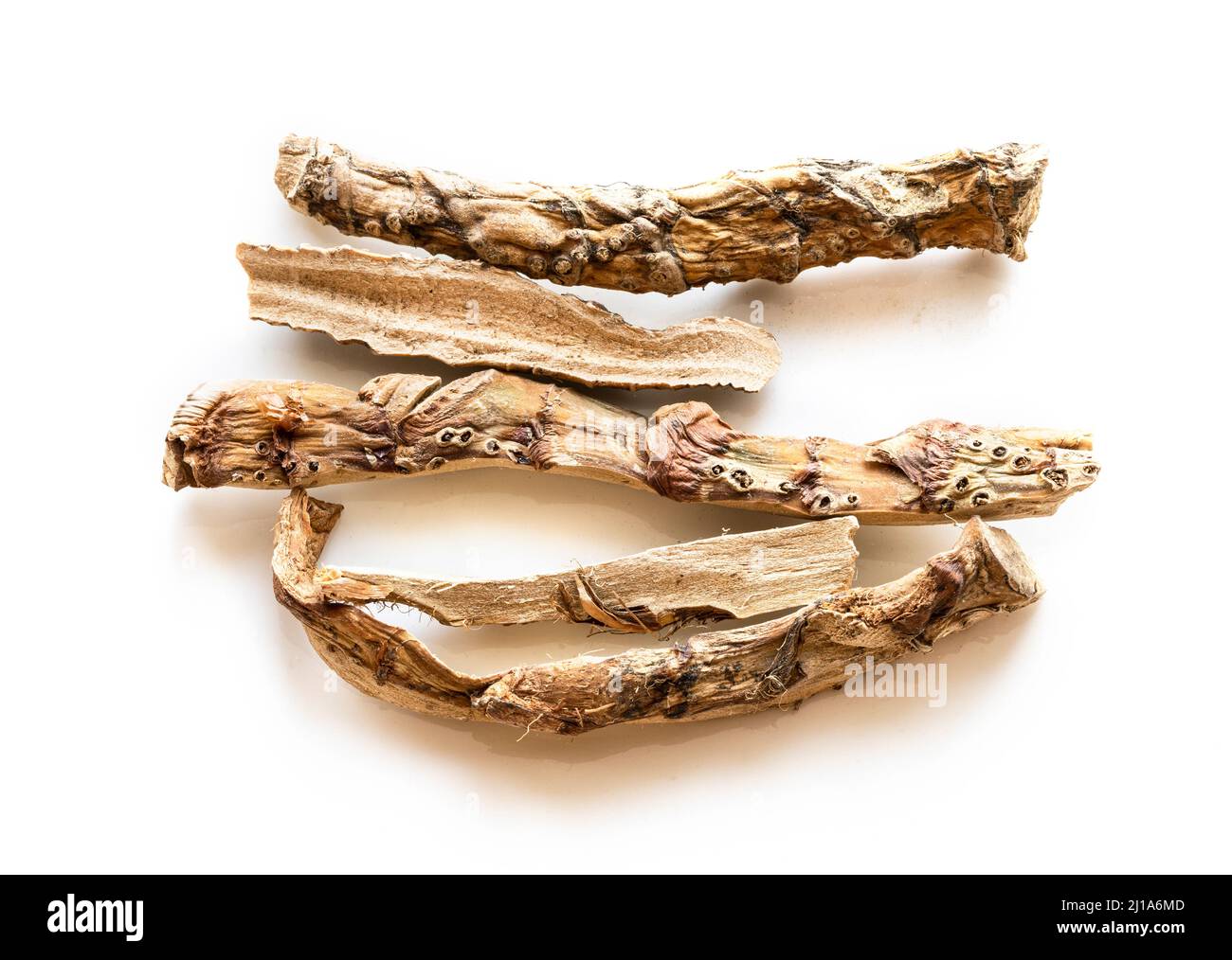 several pieces of dried Sweet flag (calamus) root on white plate Stock Photo