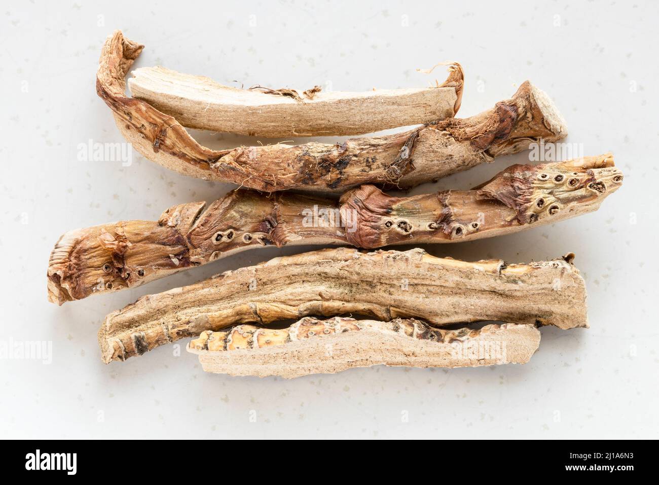 pieces of dried Sweet flag (calamus) root close up on gray plate Stock Photo
