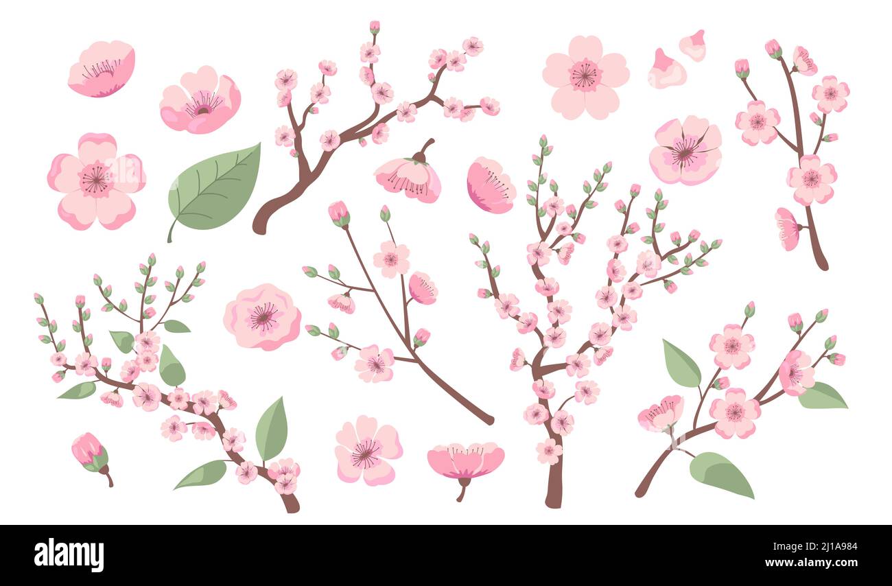 Blooming sakura branches. Apple, almond, peach or cherry tree blossoms, twigs with pink flowers. Vector illustration for spring in Asia, decoration, n Stock Vector