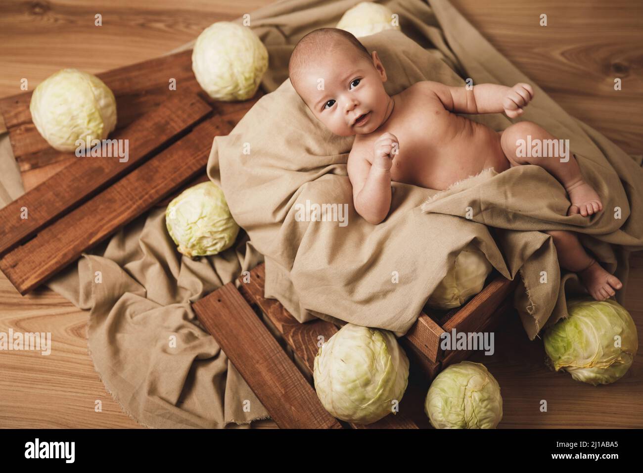 Little baby is lying in the box with a lot of cabbages around Stock