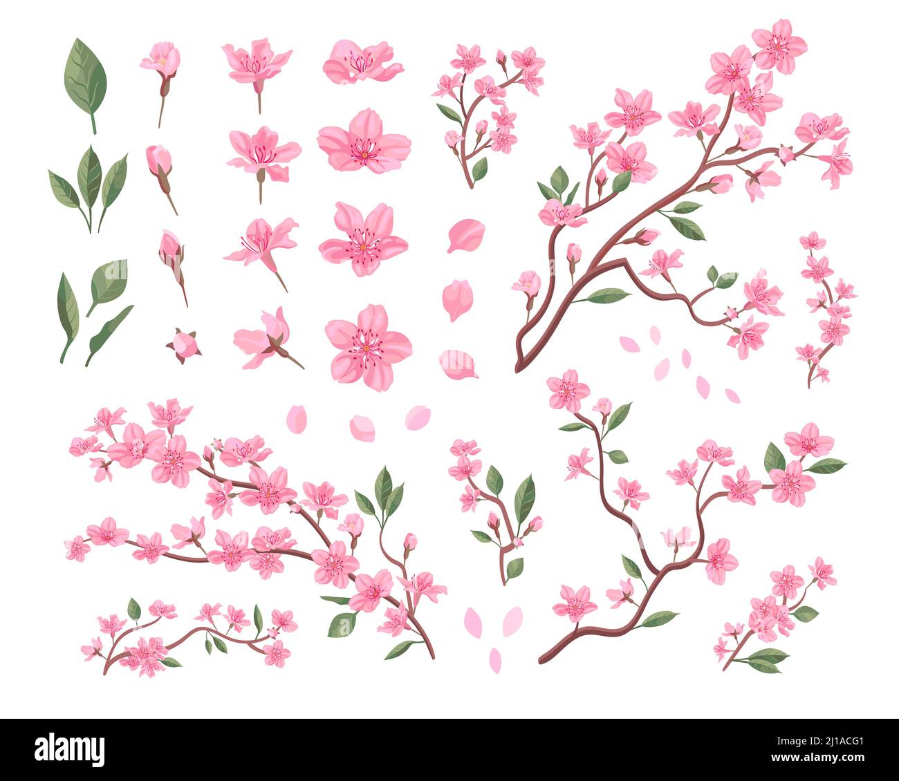 Sakura blossoms set. Pink flowers petals, cherry or peach tree branches with leaves. Flat vector illustrations for spring in Asia, nature, blooming fe Stock Vector