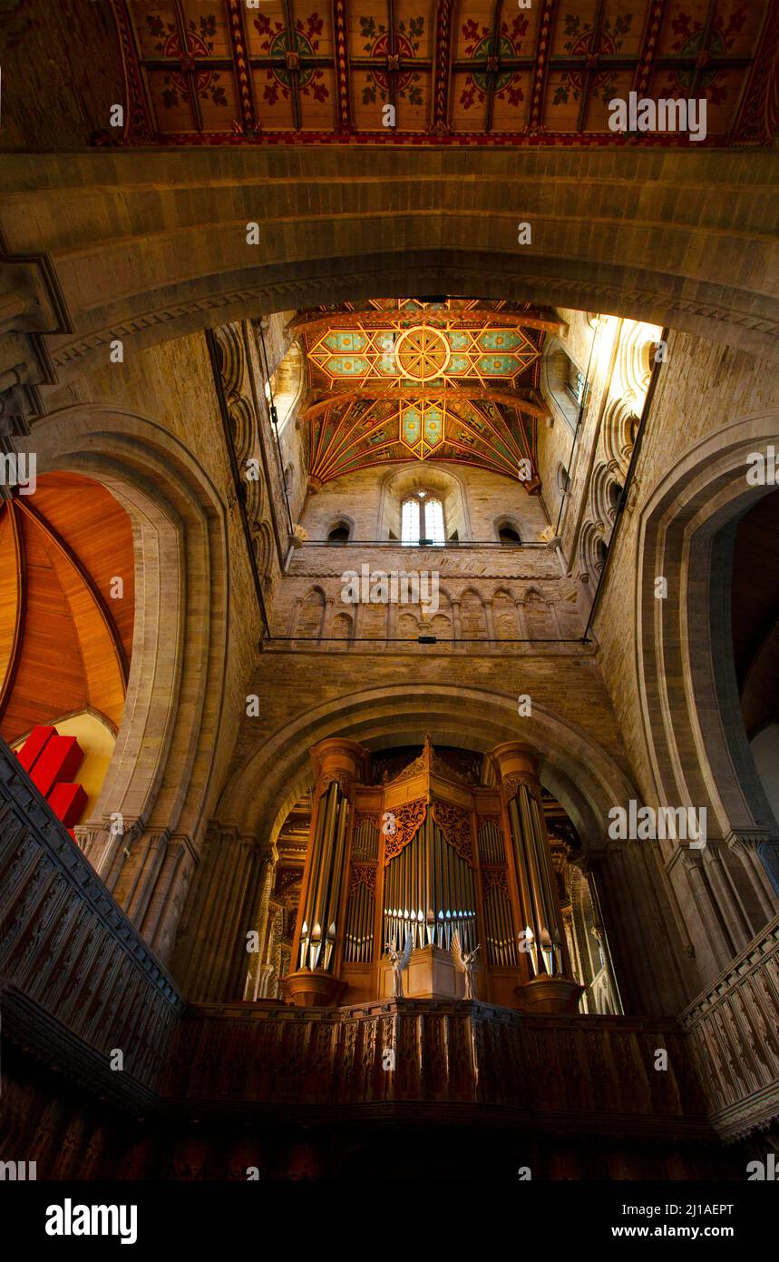 Interior St David's Cathedral organ Pembrokeshire West Wales UK looking up at the central lower vault ceiling upright Stock Photo