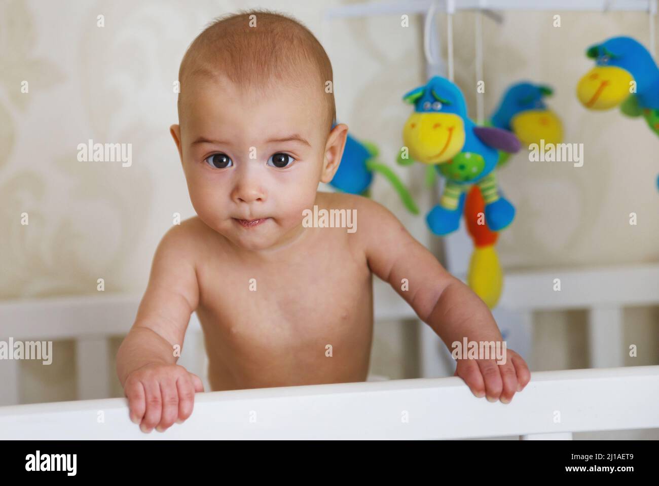 Cute baby first time standing up in his cot Stock Photo Alamy