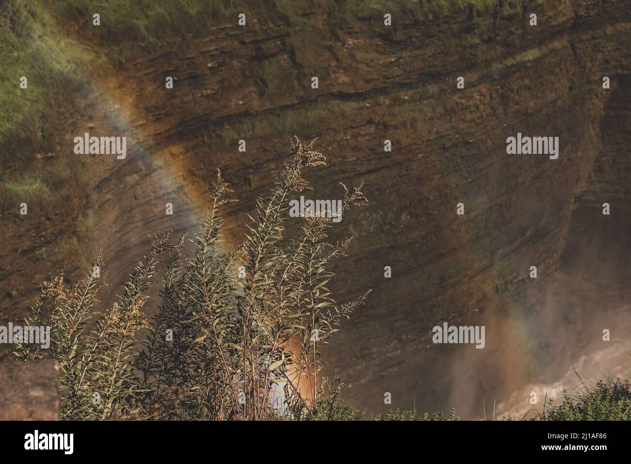 Rocky cliffs in forest hi-res stock photography and images - Alamy