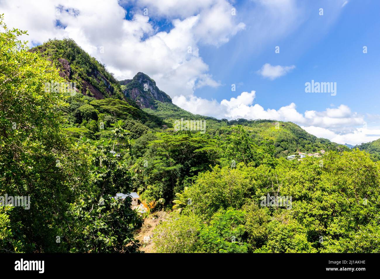 Mountain landscape of Mahe Island, Seychelles, with lush tropical vegetation, rainforest, palm trees, and Morne Blanc rocky peak in the distance. Stock Photo