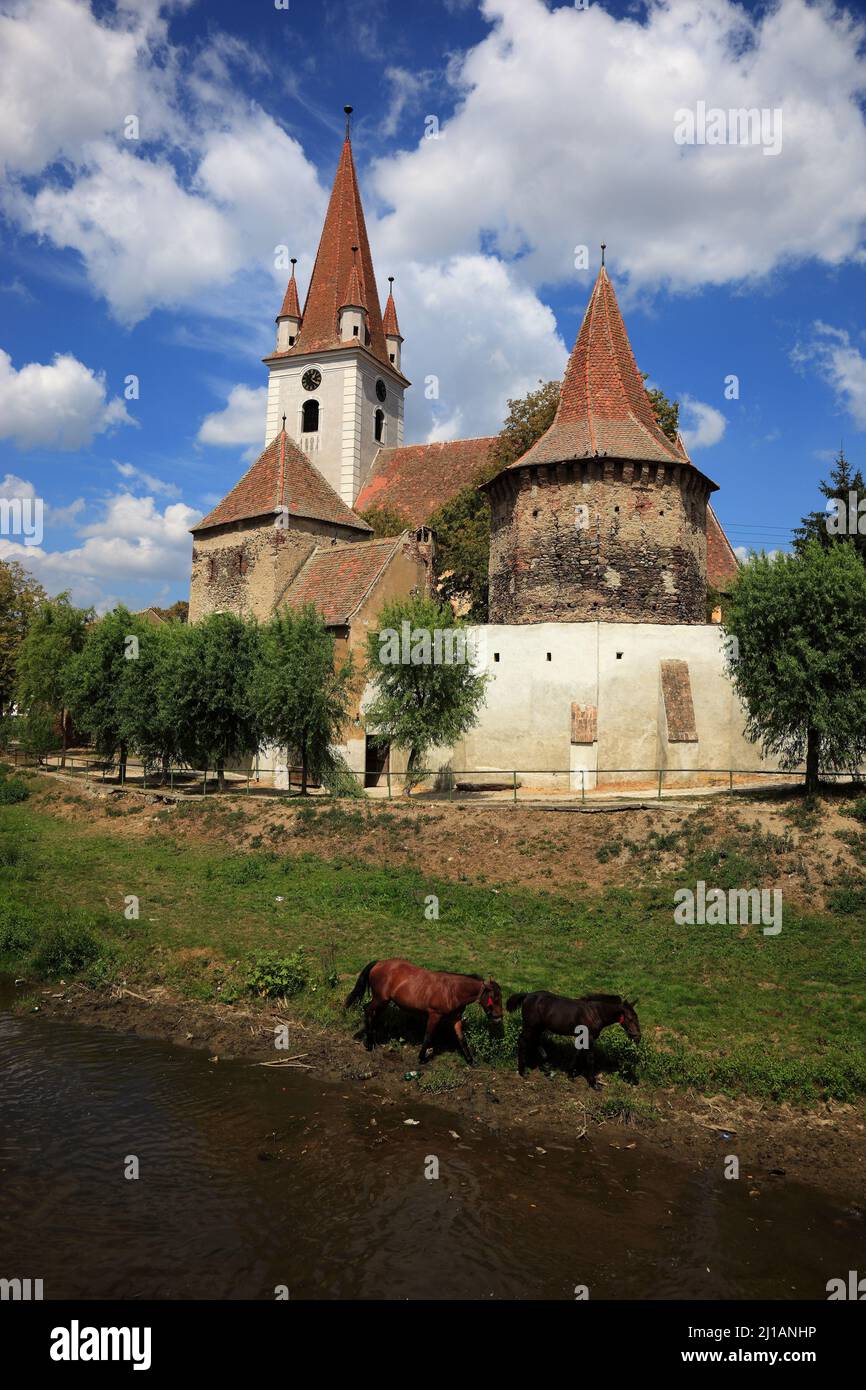 Kirchenburg Großau, erbaut 1498. Cristian, dt. Großau oder Grossau, sächsisch: Grißau, ist eine Ortschaft in Siebenbürgen, Rumänien  /  The fortified Stock Photo