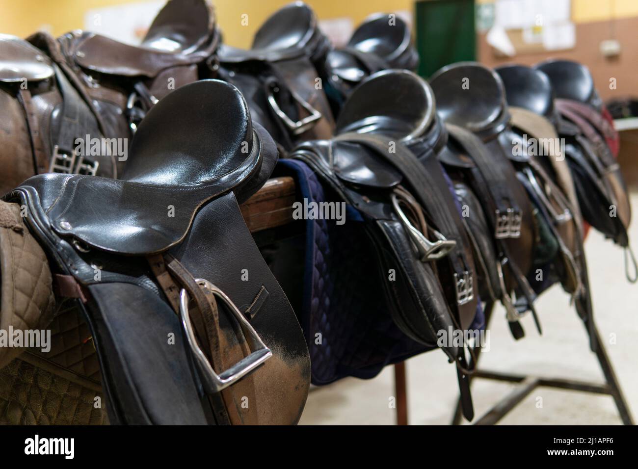 Close up of several horse saddles in a stable, copy space Stock Photo ...