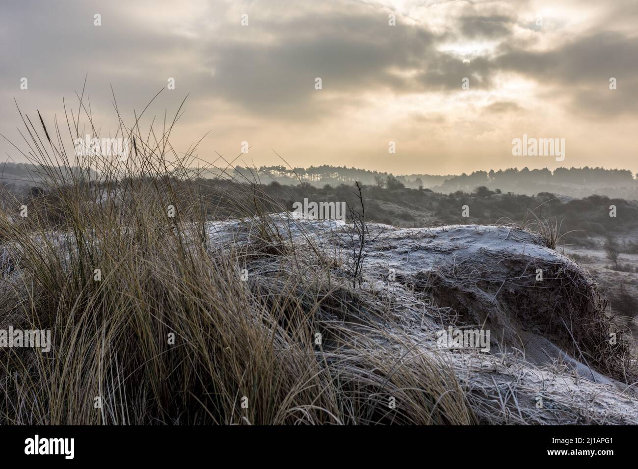 Winter sunrise in the Dutch dunes Stock Photo
