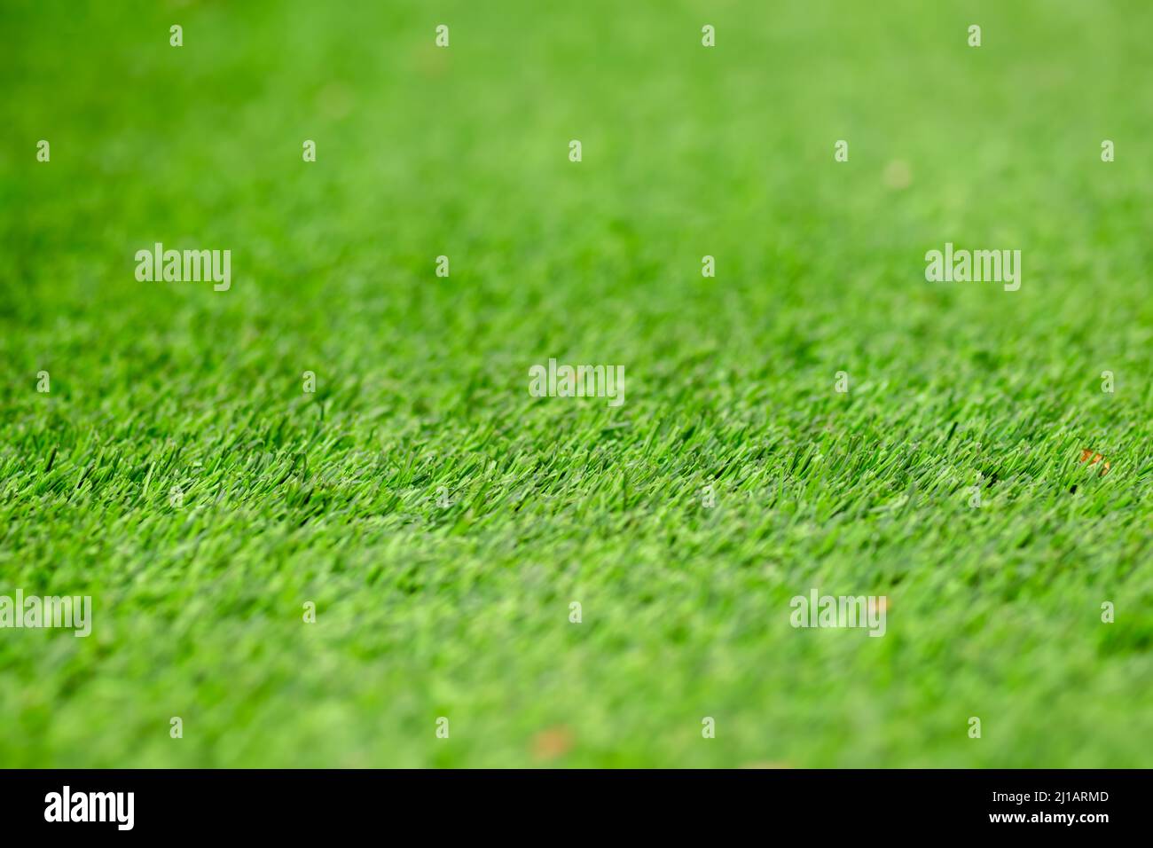 Green lawn background covered full frame. Used selective focus. Stock Photo
