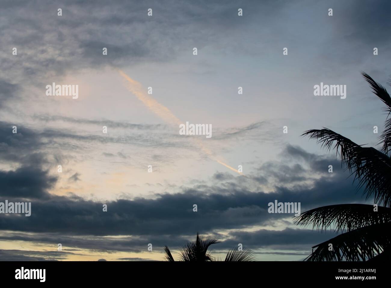 Beautiful cloudy blue sky for background with silhouette of coconut leaves during evening dusk. Stock Photo