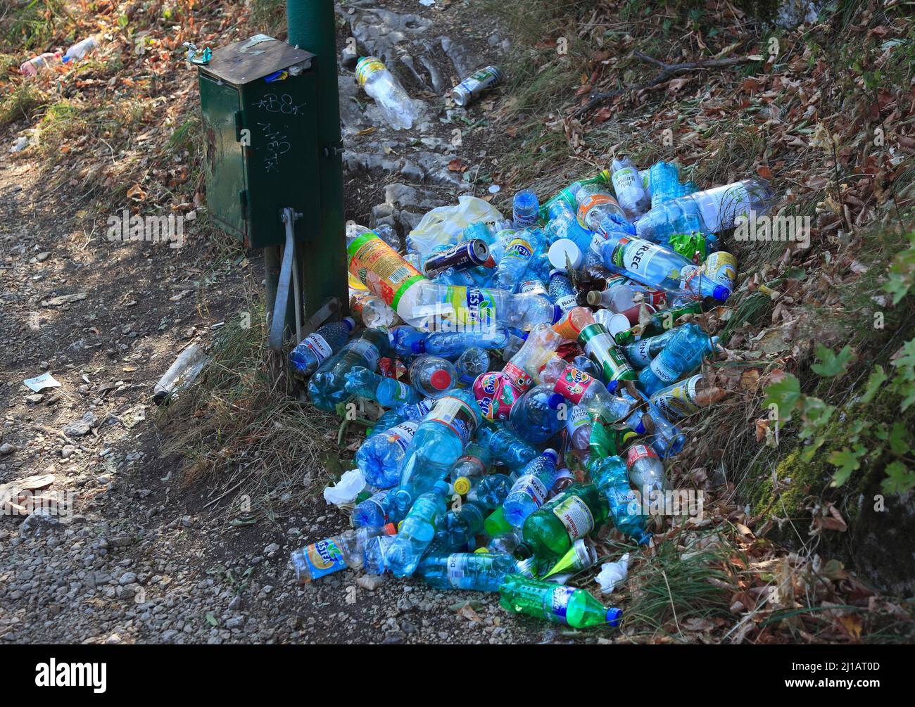 Plastikflaschen, Umweltverschmutzung, wilde Müllablagerung, übervoller Papierkorb  /  Plastic bottles, pollution, littering, overflowing wastebasket ( Stock Photo