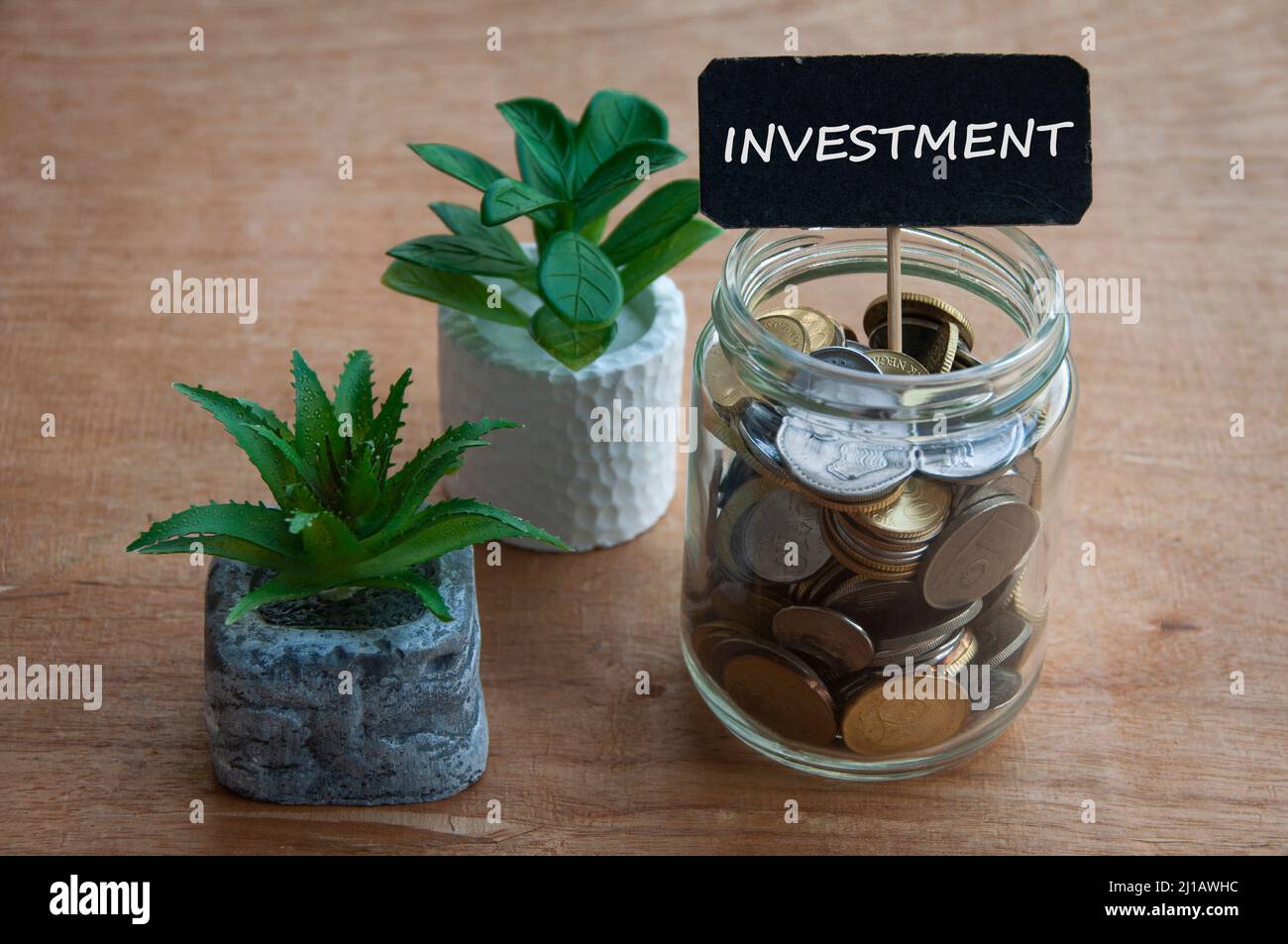 Investment text on small black banner with coins and plants background ...
