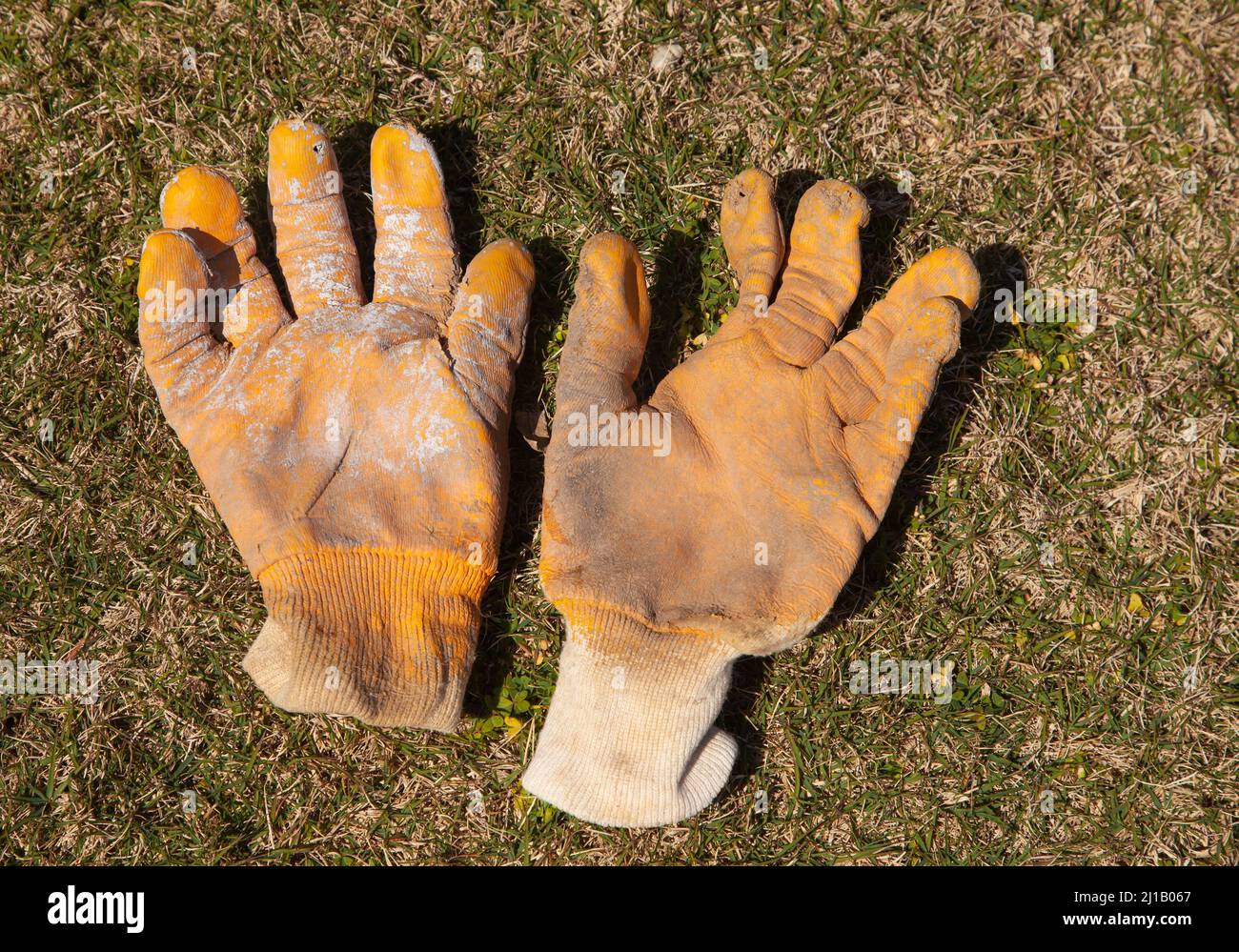 Used yellow working gloves on the grass. Worn work gloves. Top of view. Stock Photo