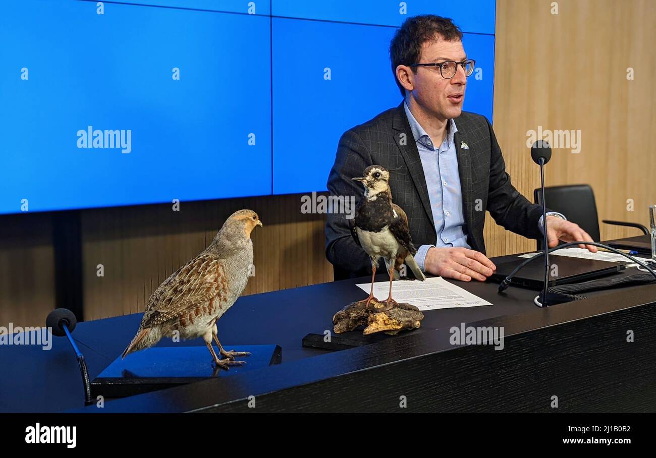 Stuttgart, Germany. 24th Mar, 2022. The Baden-Württemberg state chairman of the Nature and Biodiversity Conservation Union (Nabu), Johannes Enssle, speaks out on species conservation at a press conference. The two animal models are from the Natural History Museum in Stuttgart and show a partridge (l), and a lapwing. (to dpa 'Partridge and lapwing are dying out - million program demanded') Credit: Martin Oversohl/dpa/Alamy Live News Stock Photo